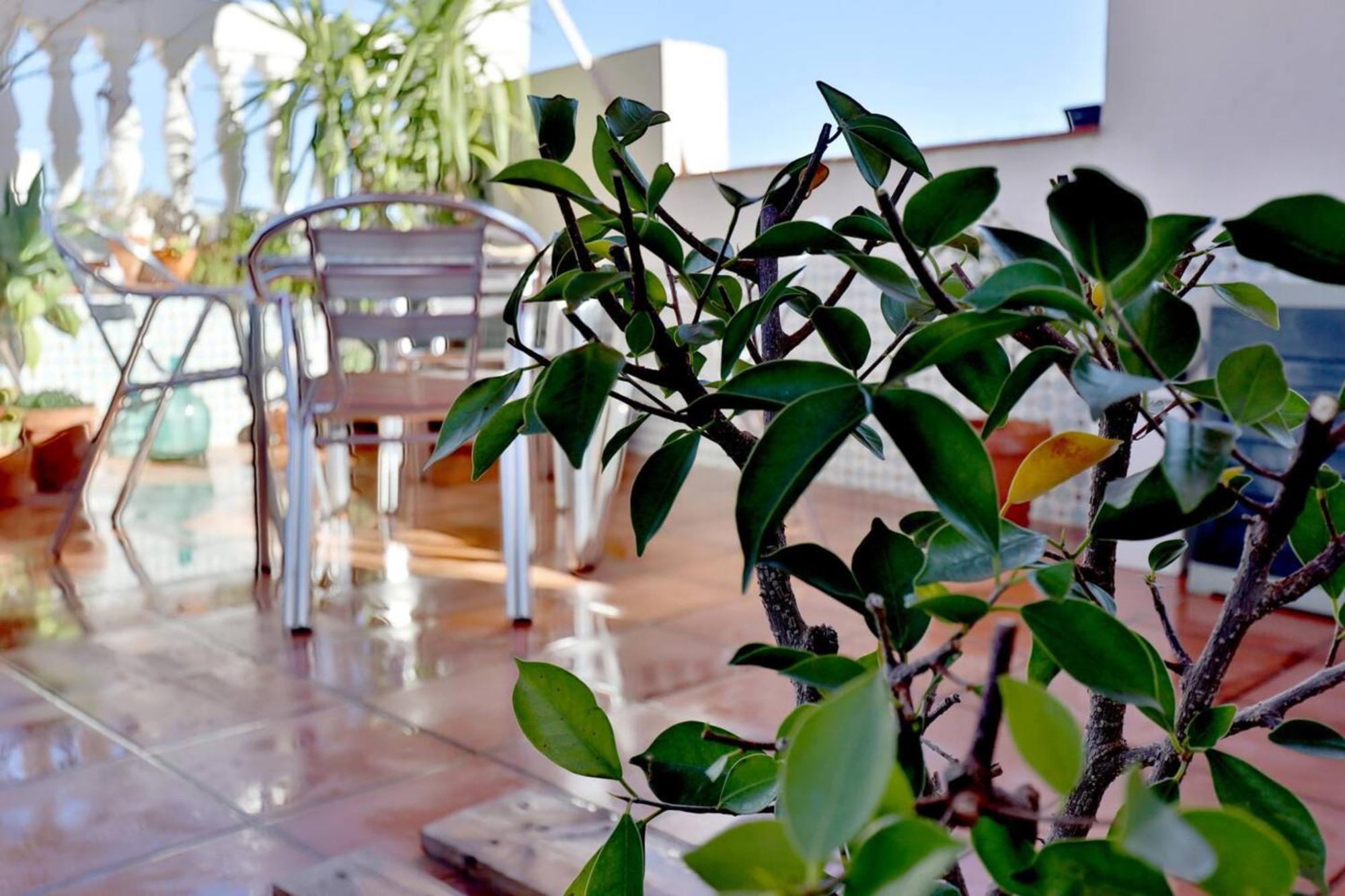 Apartamento Atico Con Terraza En Pleno Centro Córdoba Exterior foto